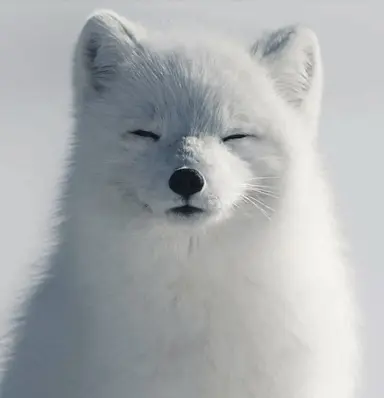 Profile image of ハン・ウォノ