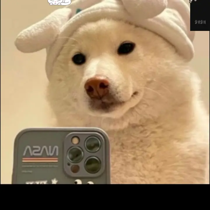 UsableGown1083의 강아지키우기