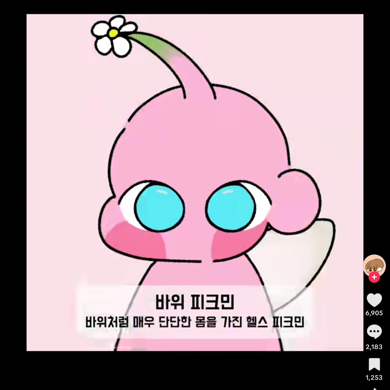 코치쌤
