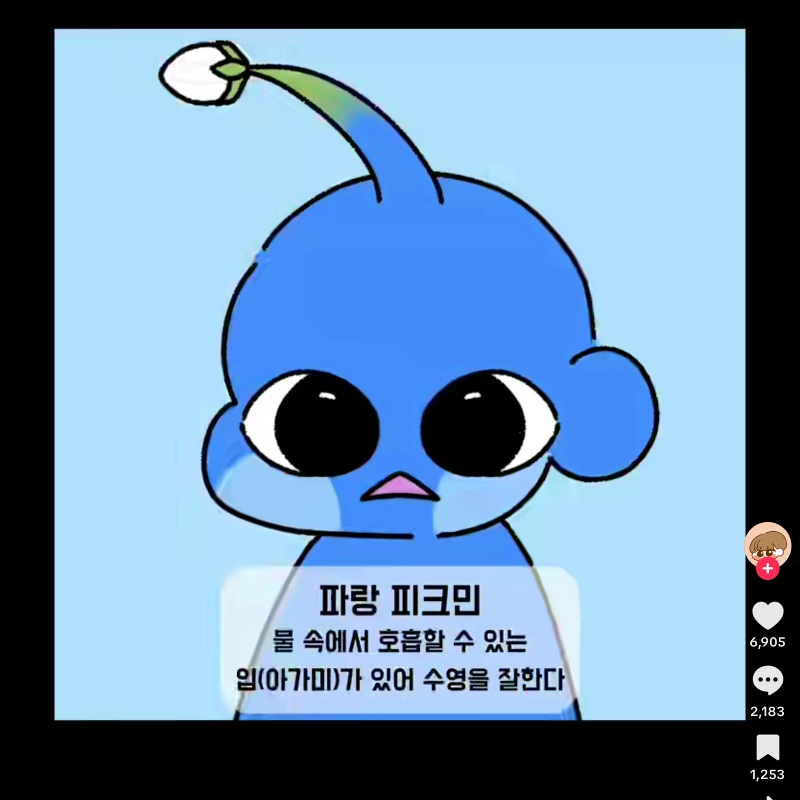 시완