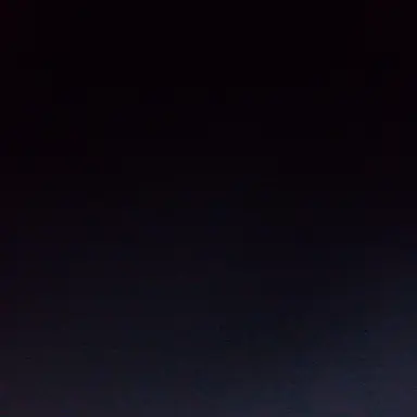 Profile image of 조직