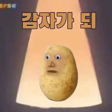 Profile image of 늑대