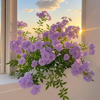 Profile image of 황수현