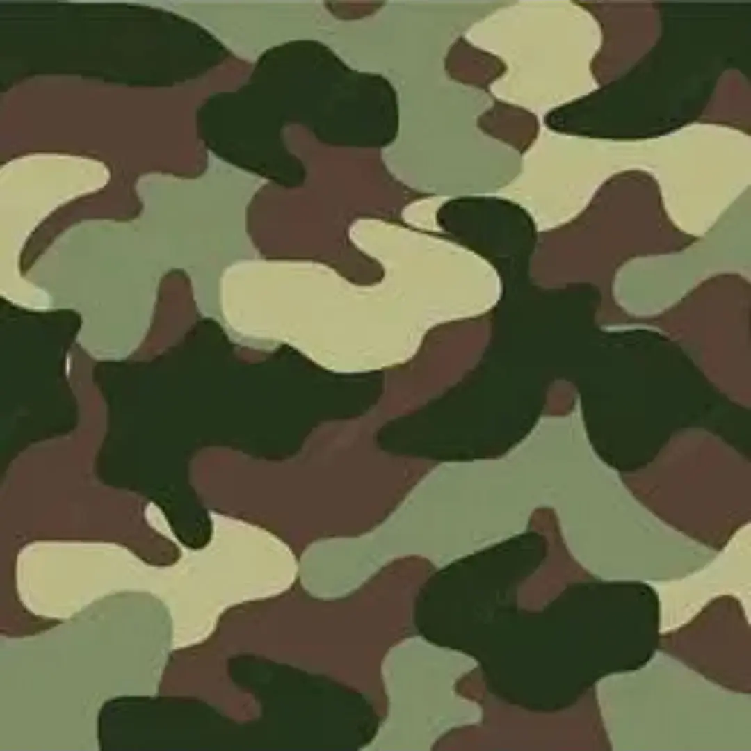 GaudyWeed8481의 폭주기관차