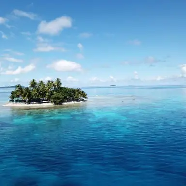 Profile image of 무인도에서 살기