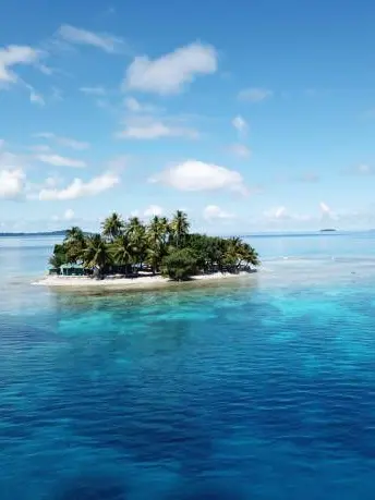 Se0unx의 무인도에서 살아남기