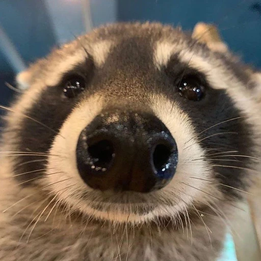 최승첧