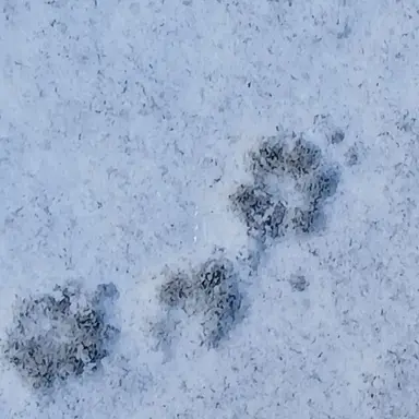 Profile image of 서연