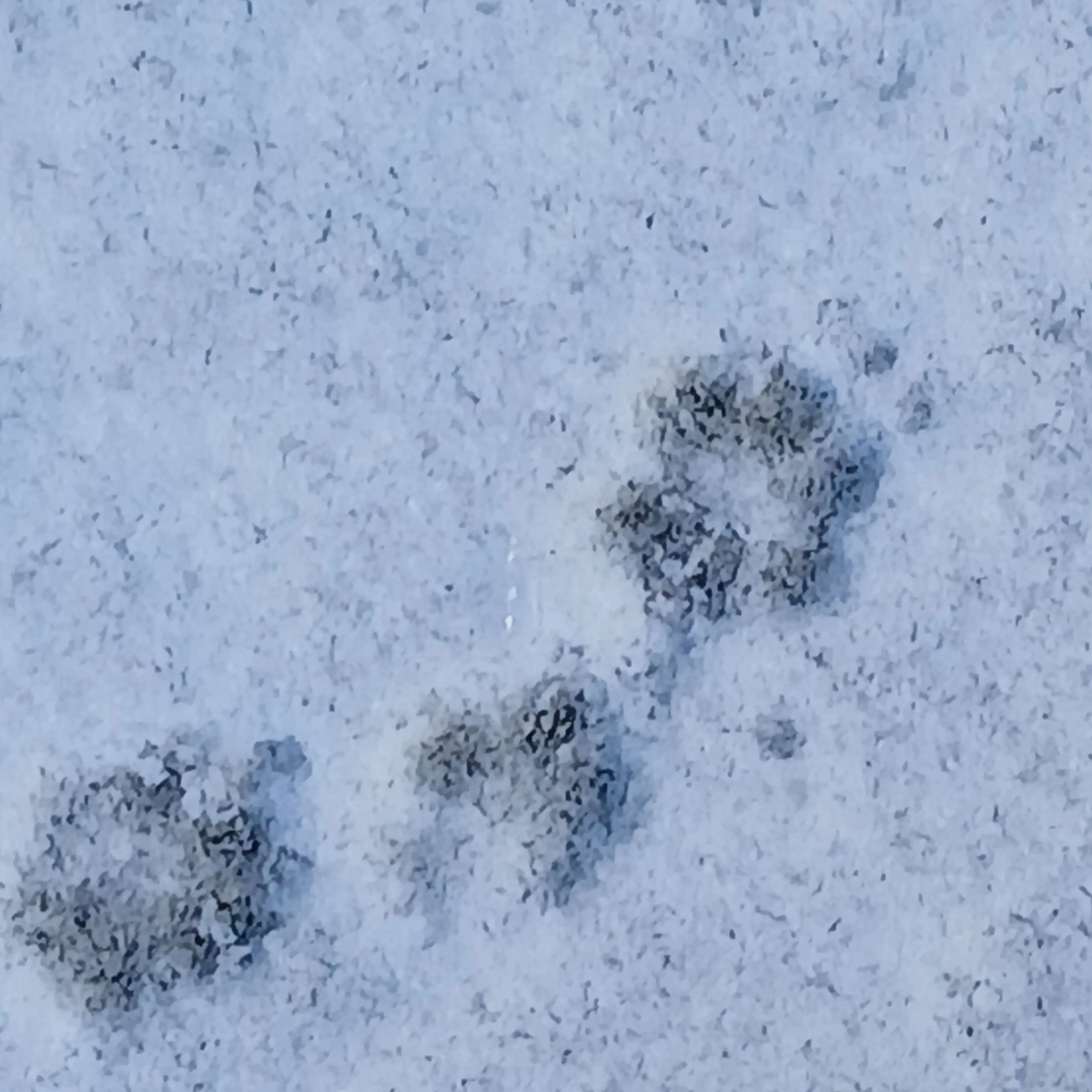 StableSmoke3513의 팀나빠와 유저가 싸우다?!