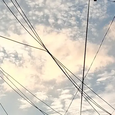 Profile image of 로블고