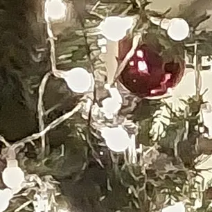 Profile image of 메복입은고여오