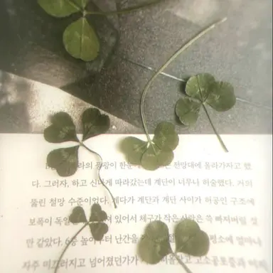 Profile image of 정형준
