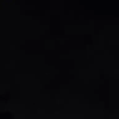 Profile image of 한도아