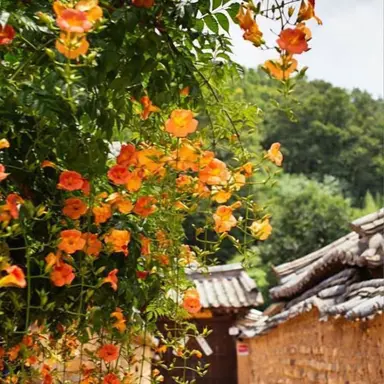 Profile image of 박 영환