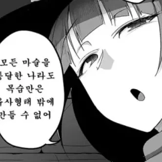 Profile image of 마법사