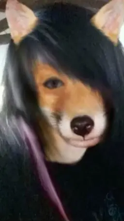 Profile image of 김여우