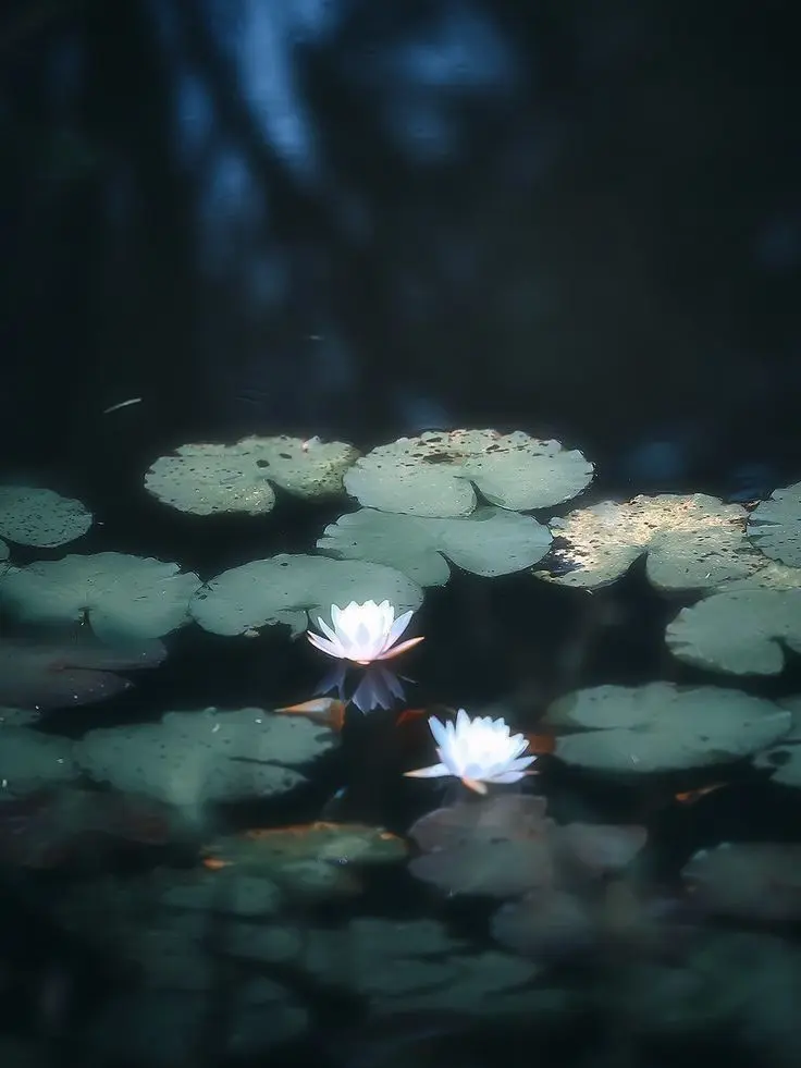 SuppleStorm7370의 퇴마사 무당 RPG