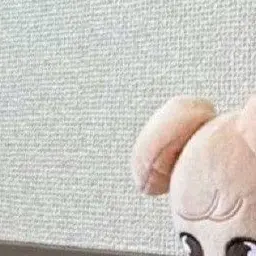 SillyDhole2719의 ㅇㅁㅎ