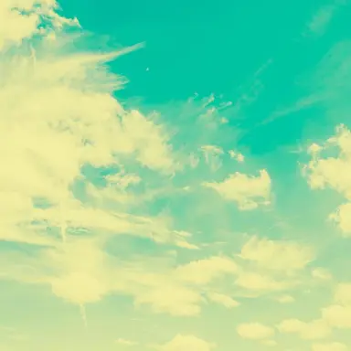 Profile image of 공룡