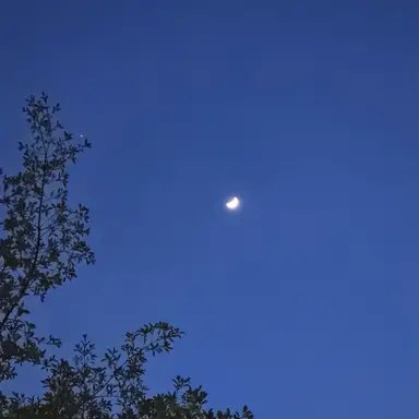 Profile image of 여학생