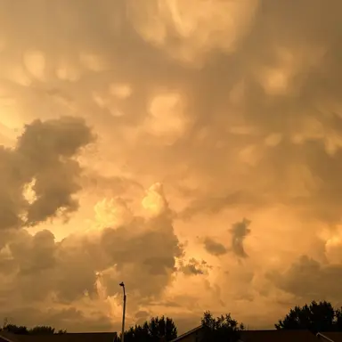 Profile image of 각별