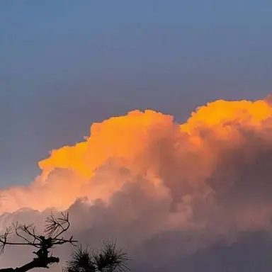 Profile image of 덕개