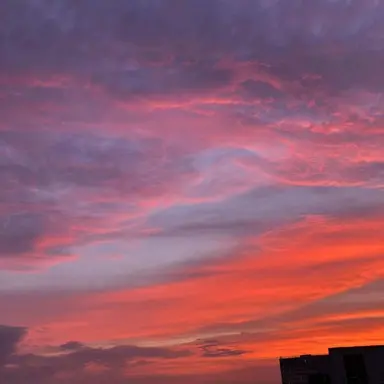 Profile image of 라더