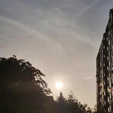 Profile image of 남학생