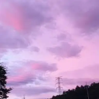 Profile image of 수현