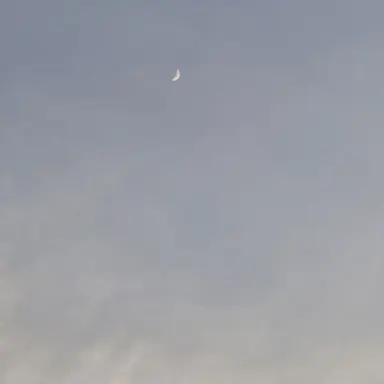 Profile image of 잠뜰