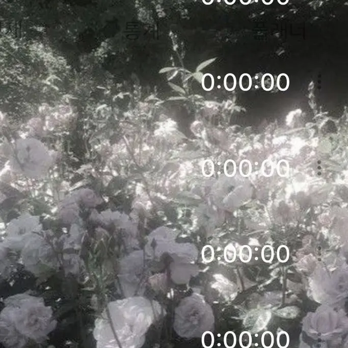 -.3.-의 ( ´Д｀)=3