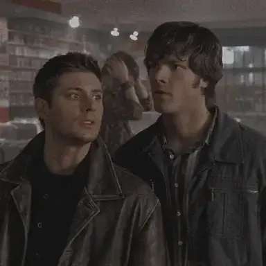 Profile image of The Winchesters