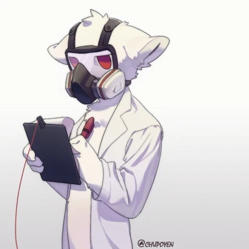 Dr.k
