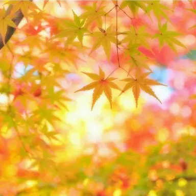 Profile image of Hiroshi