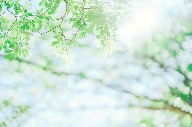 Profile image of Kazuki