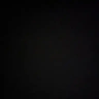 Profile image of 늑대