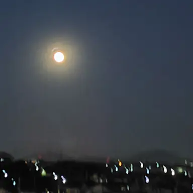 Profile image of 岩岡　徹