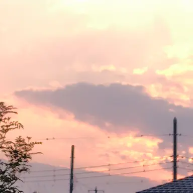 Profile image of 花村　想太