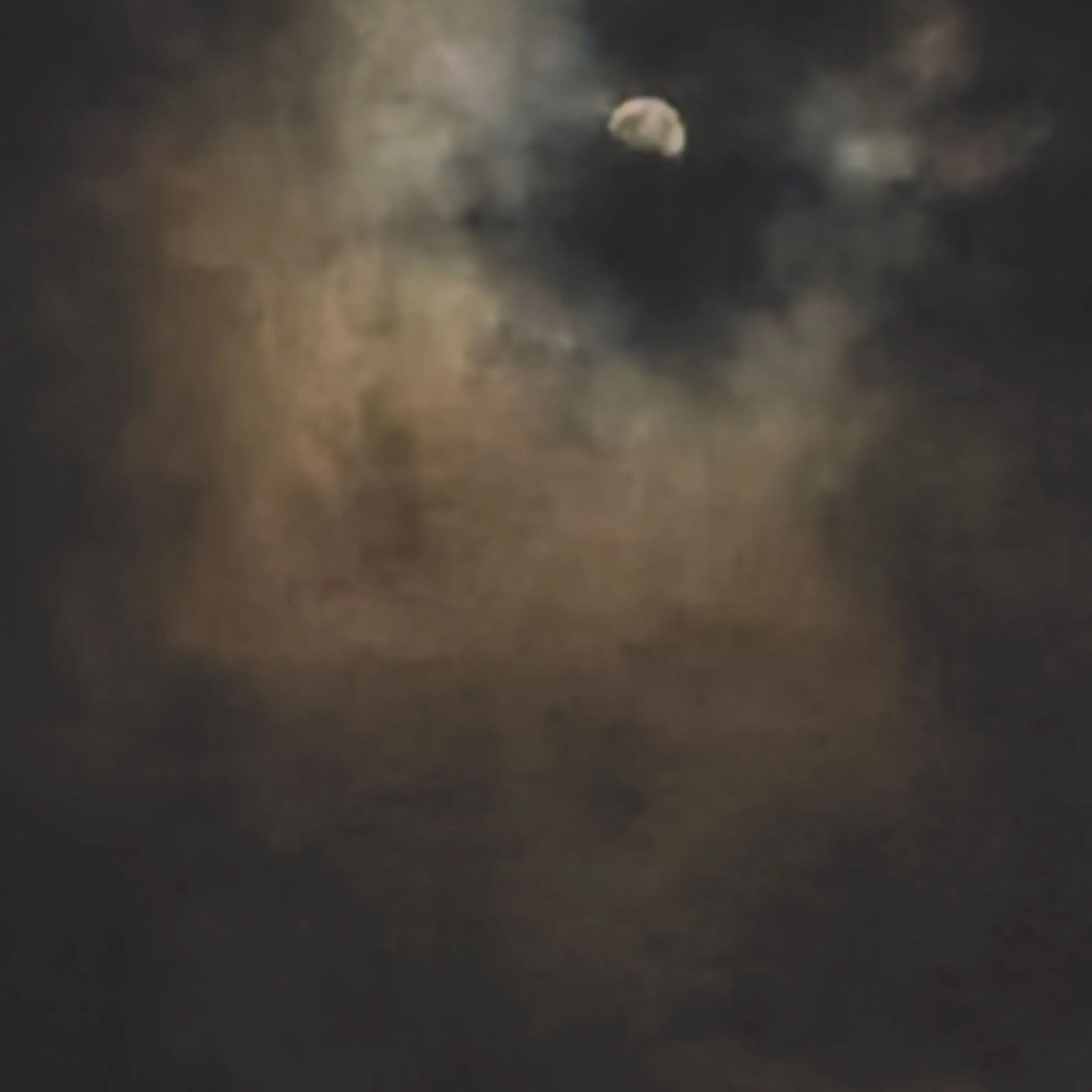 kanimisopann의 俺に触れるな、近づくな、関わるな。