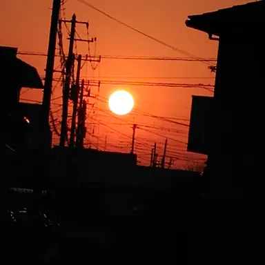 Profile image of 大野　雄大