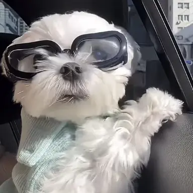 Profile image of 김도윤