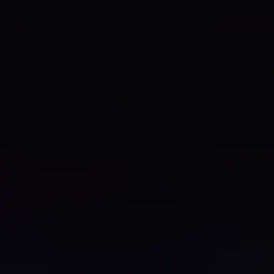 Profile image of 우왁굳