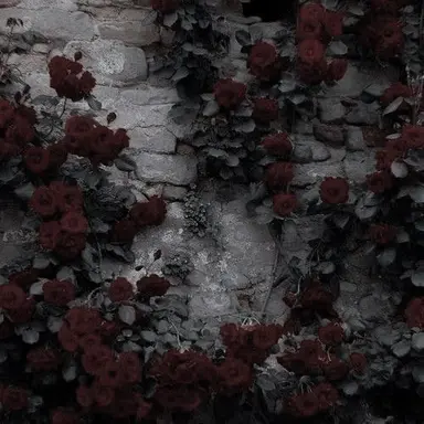 Profile image of vampire