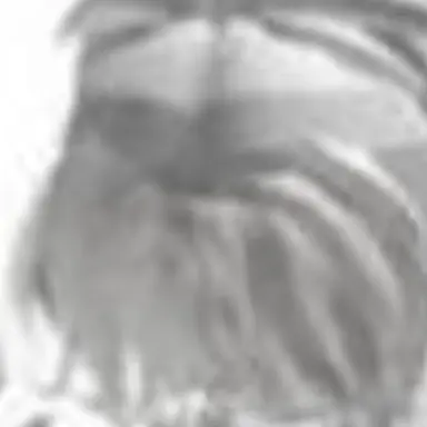 Profile image of 윤