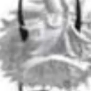 Profile image of 김준혁