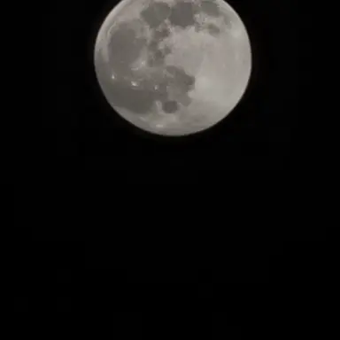 Profile image of 이상혁