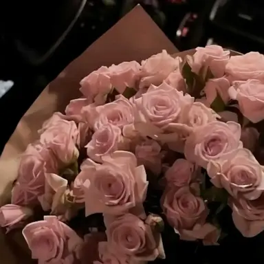 Profile image of Siras