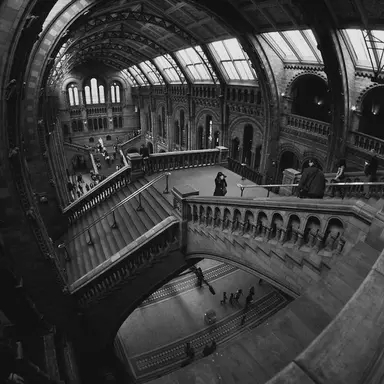 Profile image of 가람