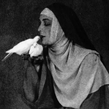 Profile image of The Sisters