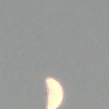 Profile image of 누군가